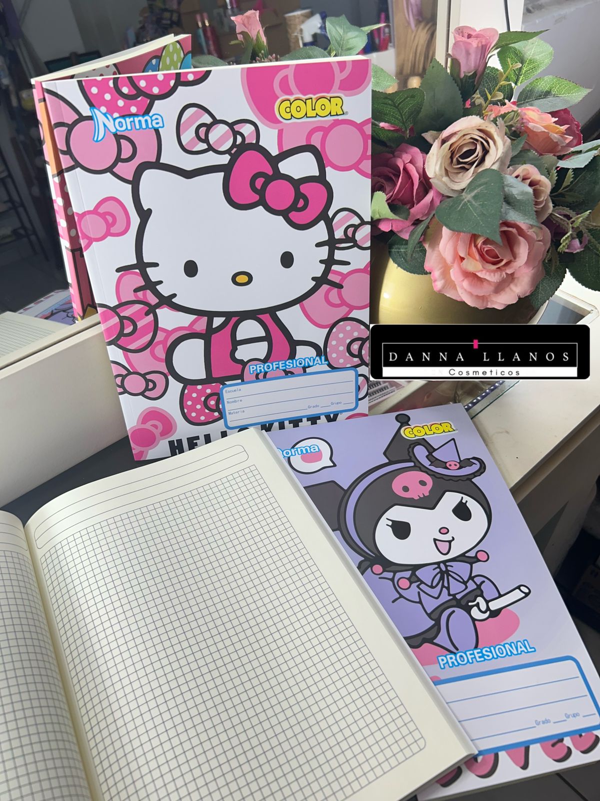 Cuaderno tamaño profesional sanrio