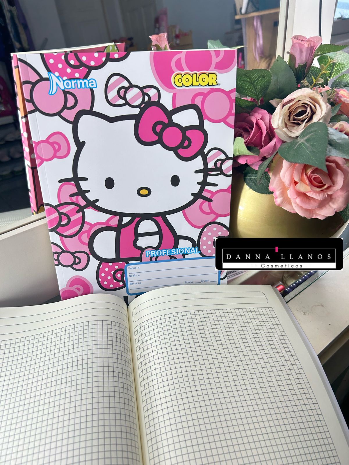 Cuaderno tamaño profesional sanrio