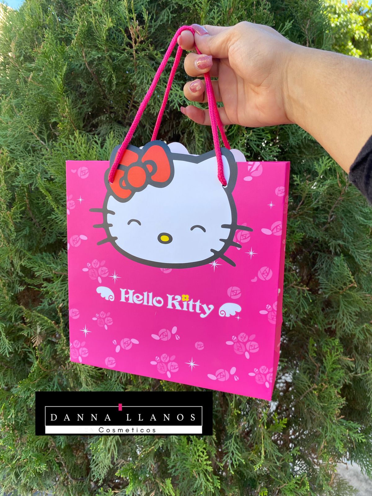 Bolsa *Hello Kitty Regalo*